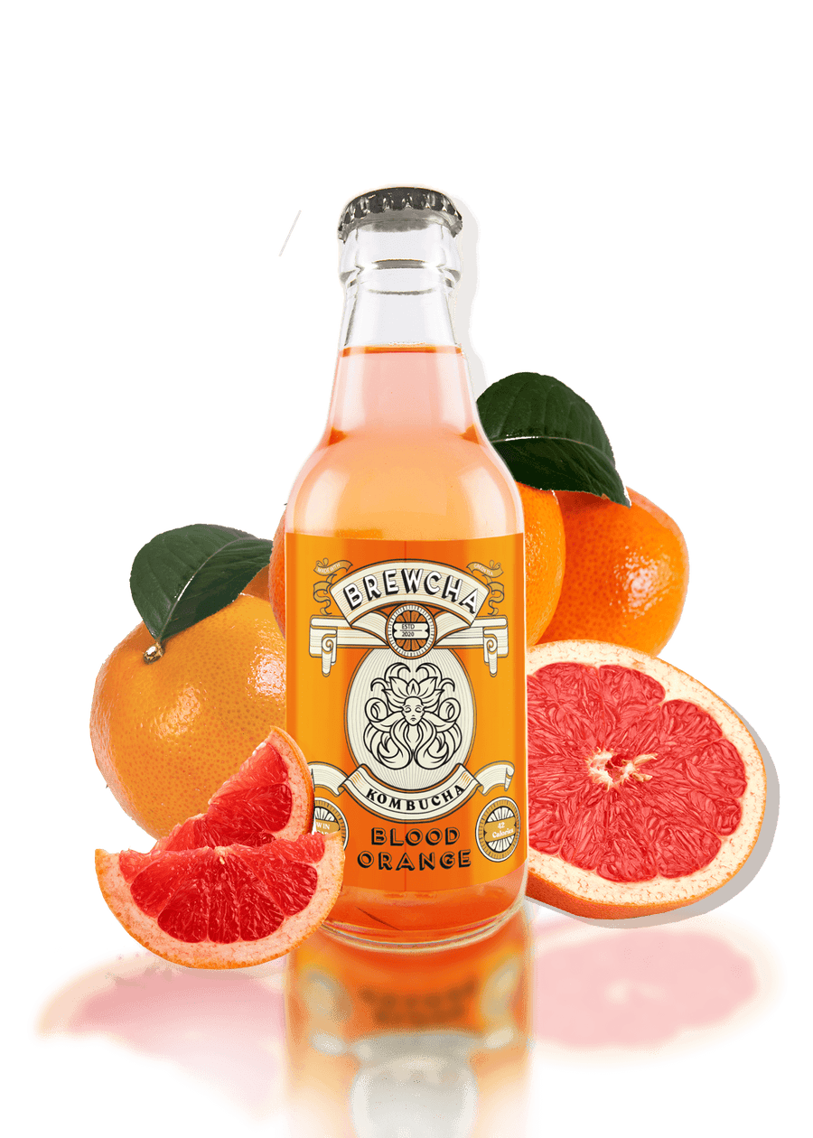 Blood Orange Kombucha