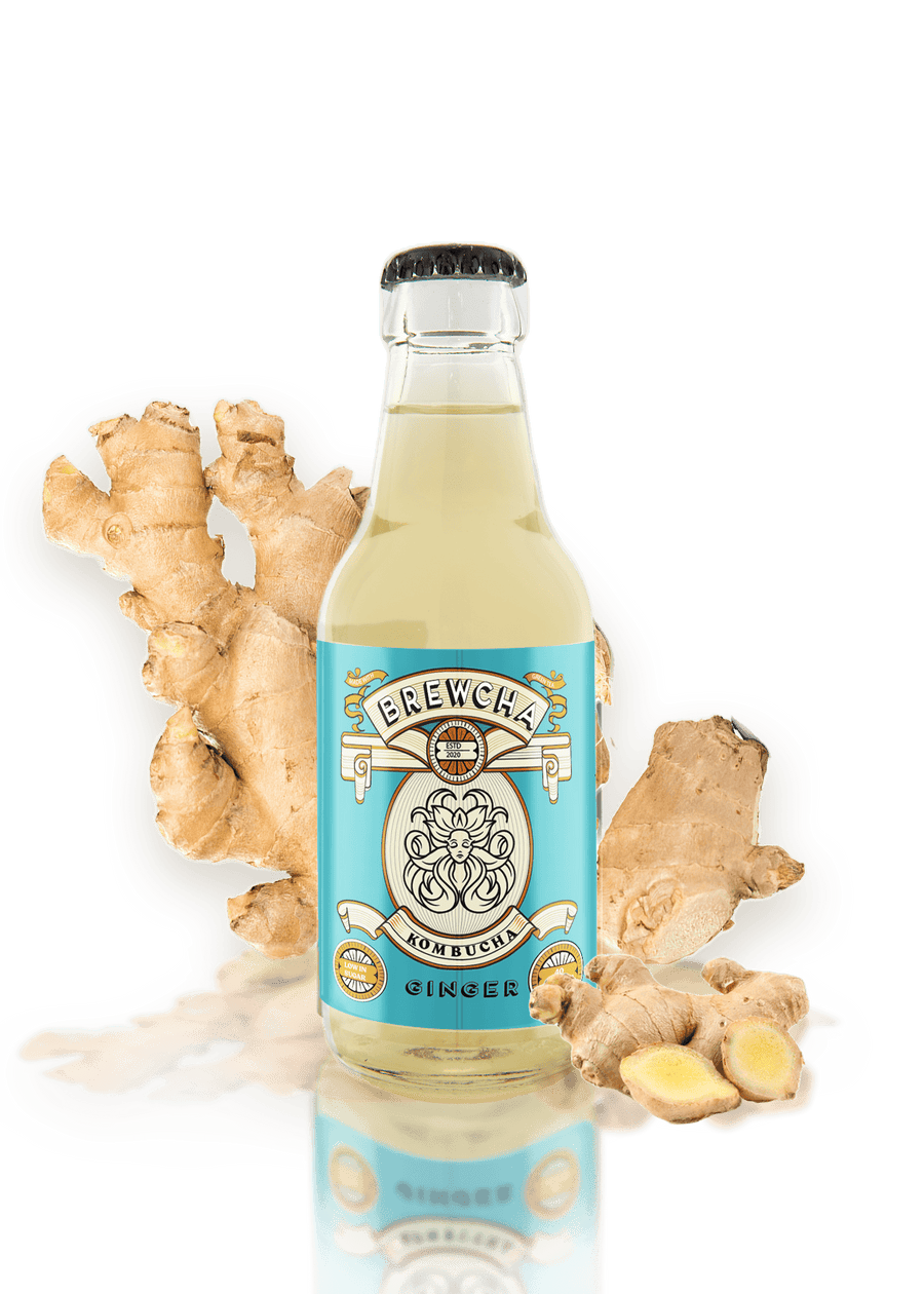 Ginger Kombucha