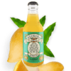 Mango Kombucha